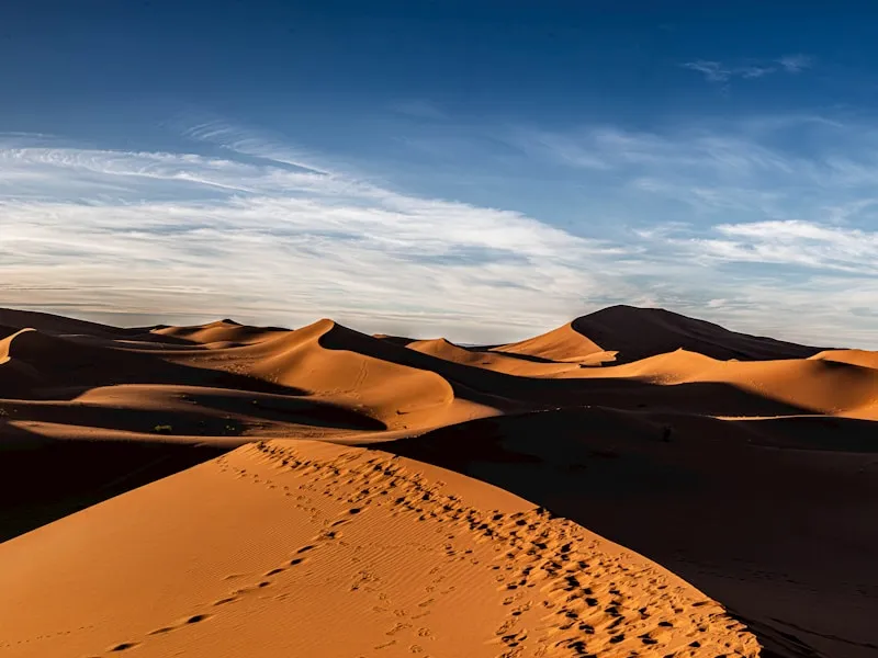 Vélo au Sahara