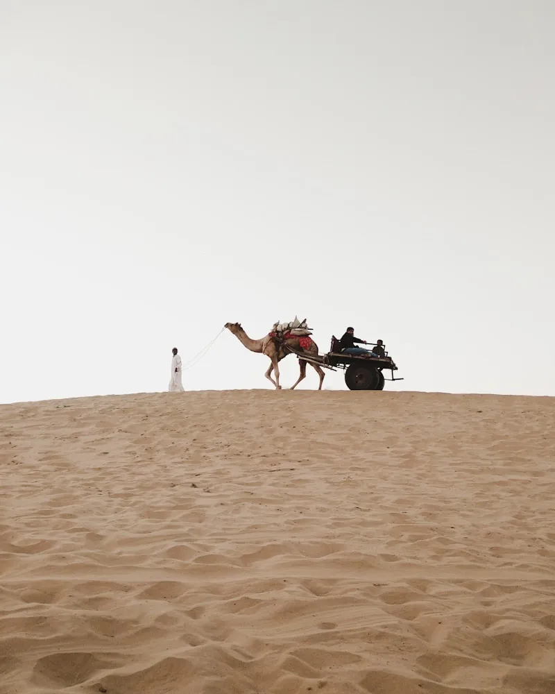Chokri Ben Mansour, guide saharien, avec sa caravane sur les dunes