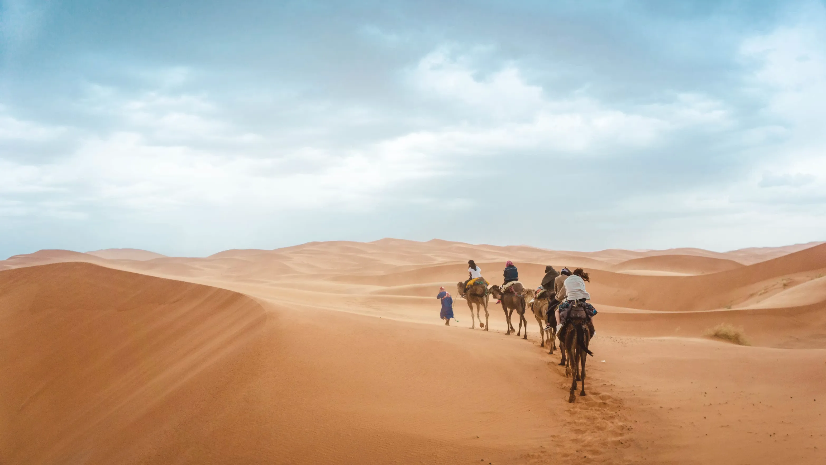 Caravane de dromadaires sur les dunes du Sahara tunisien au coucher du soleil